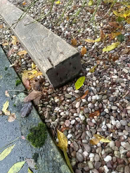 Photo of free Timber (M20 didsbury) #2