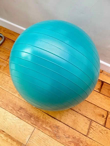 Photo of free exercise ball (55cm) and step (BH231HG) #1