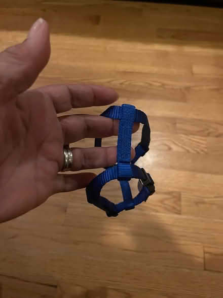 Photo of free Extra small dog harness (Maywood) #2
