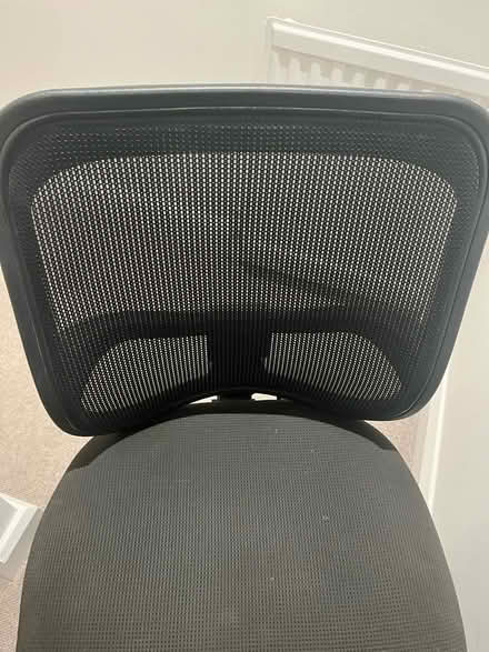 Photo of free Office chair (OX2) #2