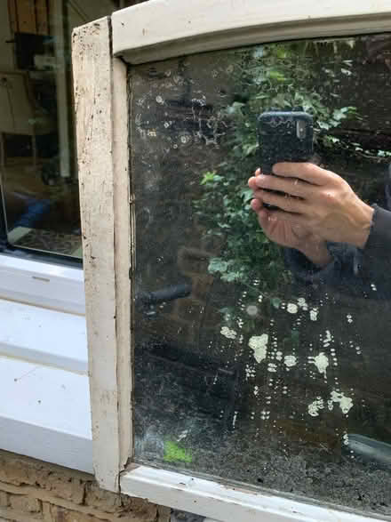 Photo of free Garden Mirror (Blackheath SE3 7DH) #3
