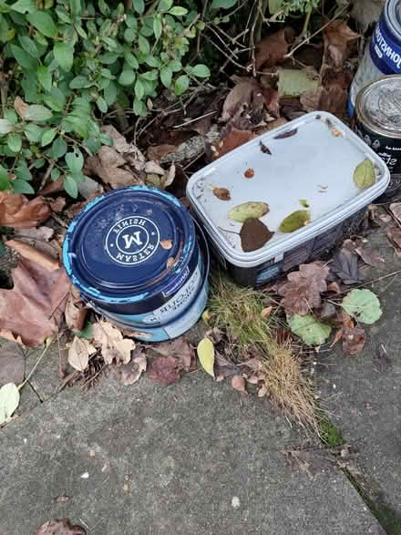 Photo of free Odd paint pots (CV5) #3