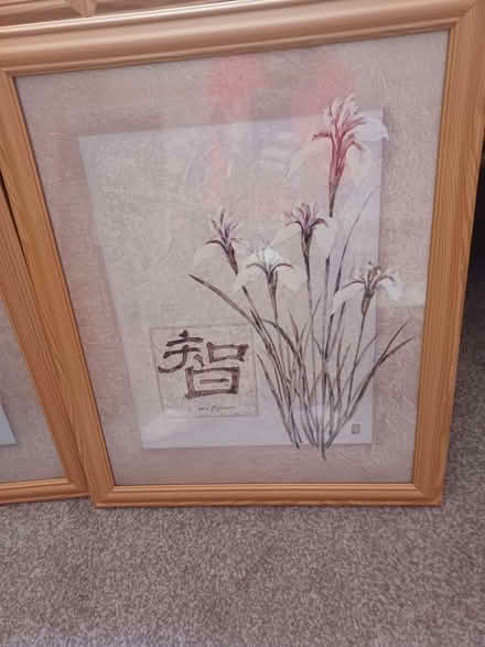 Photo of free 4 Chinese pics (Dawley TF4) #3