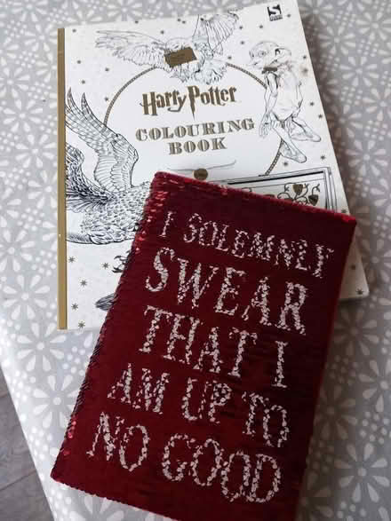 Photo of free Harry Potter colouring and note book (Mayford GU22) #1