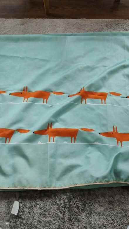 Photo of free Shower curtain with hooks (Denmark Hill) #1