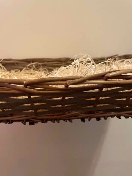 Photo of free Shallow basket for light goods (Thurmaston) #2