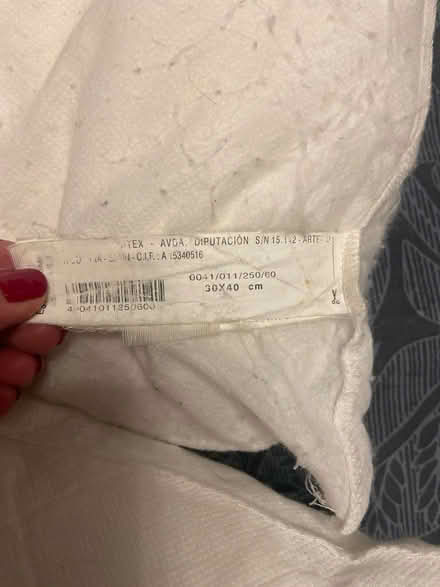 Photo of free Cushion inserts (Sheddingdean RH15) #2