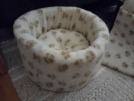 Photo of free Cat bed and radiator hammock (Stroud Green N4) #2