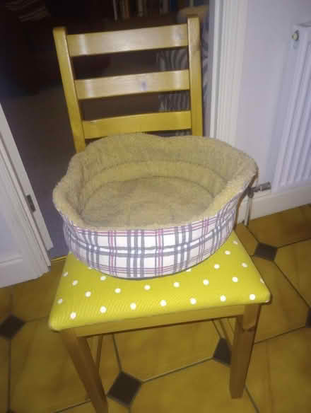 Photo of free Cat bed (Ware SG12) #1