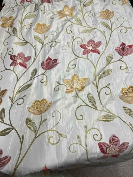 Photo of free Pair of curtains (Deeside CH5) #1