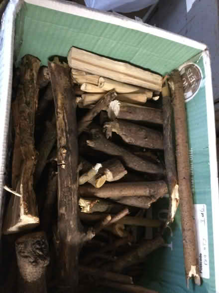 Photo of free kindling (Bridge of Allan FK9) #1