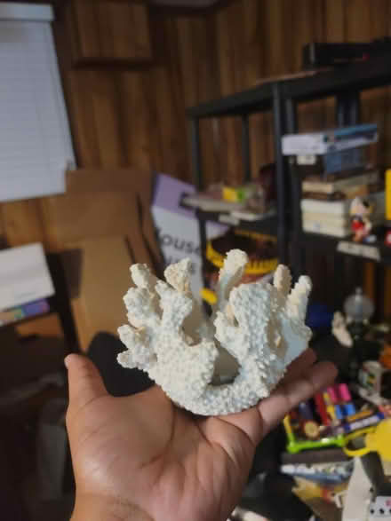 Photo of free Two coral look tealight holders (Downsview Park) #1