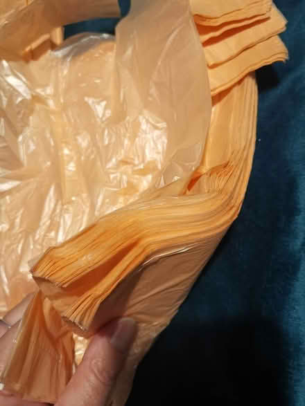 Photo of free Nappy sacks (L22) #2