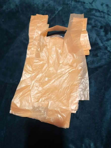 Photo of free Nappy sacks (L22) #1