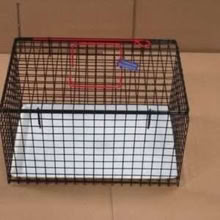 Photo of free Cat (or other small animal) carrier (Kenilworth CV8) #1