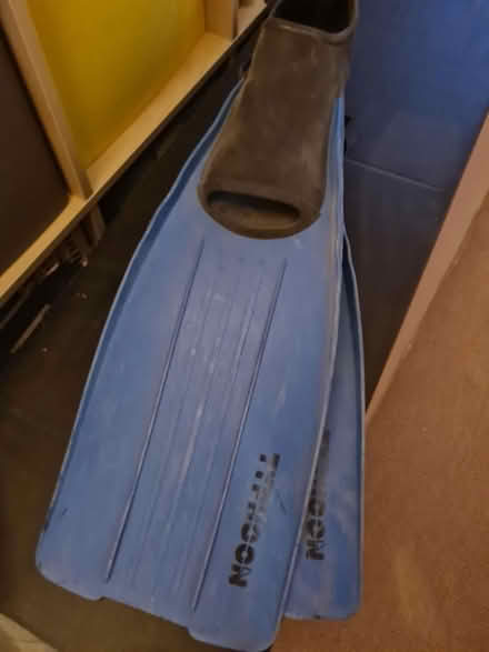 Photo of free Swimming fins (SW12 Balham) #1
