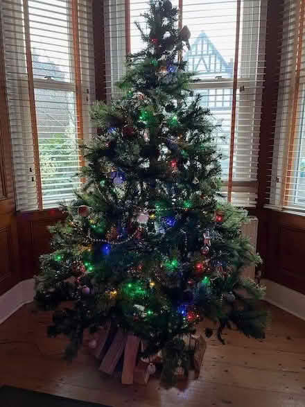 Photo of free Artificial Christmas Tree (Levenshulme M19) #1