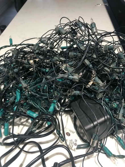 Photo of free Christmas lights (Ware SG12) #2
