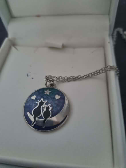 Photo of free Enammelled Oval Necklace (West Byfleet KT15) #1