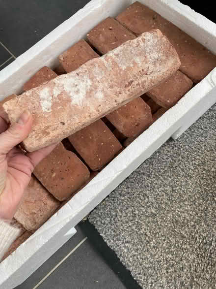Photo of free Brick slip tiles (Old Colwyn LL29) #2