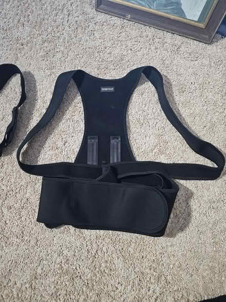 Photo of free Back brace/ support (Stoneham) #1