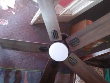 Photo of free Boomjoy 52 inch ceiling fan (Eckington, DC. 20002) #1