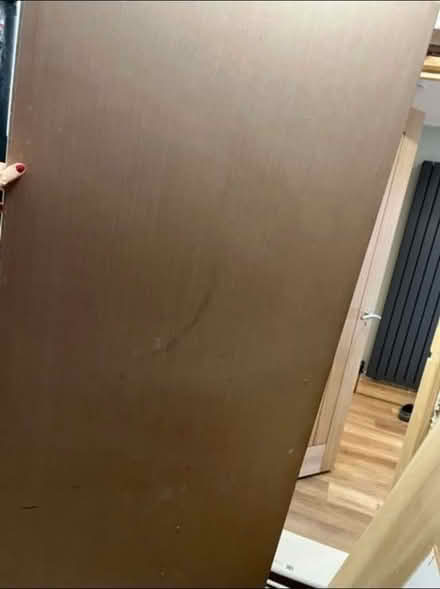 Photo of free Fire door 30x78x2 (HP1) #3