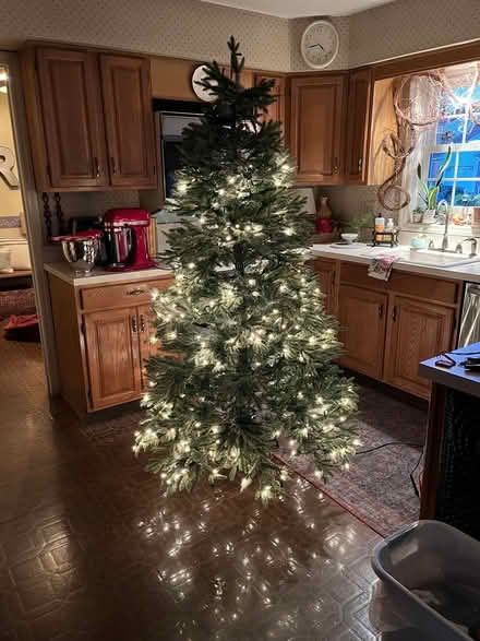 Photo of free Balsam Hill artificial tree (Conshohocken) #1