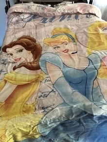 Photo of free Disney Princess Twin Comforter (East end Orleans) #1