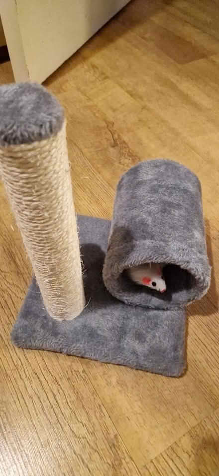 Photo of free Kitten scratching post (Horndean PO8) #1