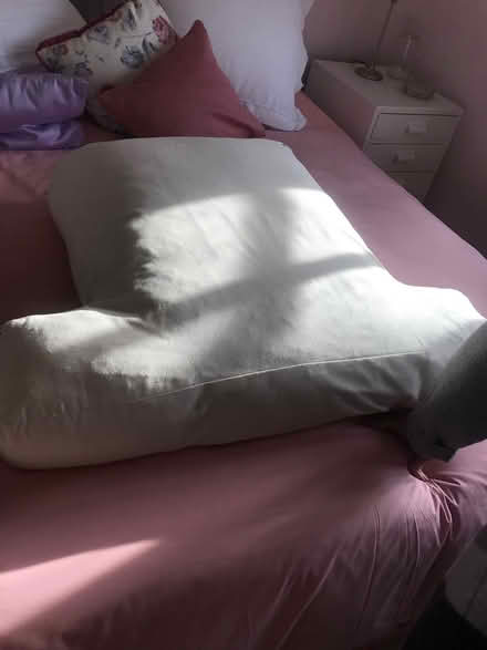 Photo of free Feather chair cushion (SG6) #1