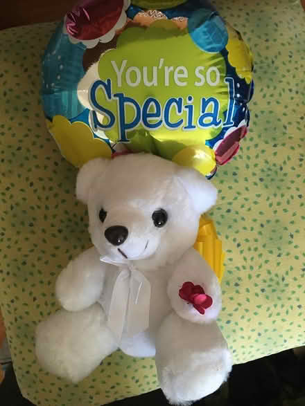 Photo of free Stuffed Animal (Red Bank) #1