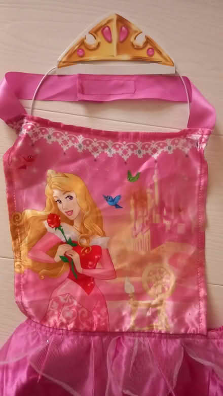 Photo of free Disney pinafore costume (Woodford E18) #2