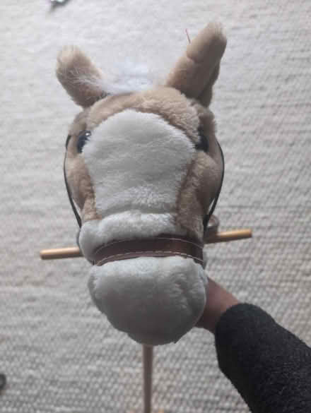 Photo of free Hobby horse (Shenfield, CM15) #3