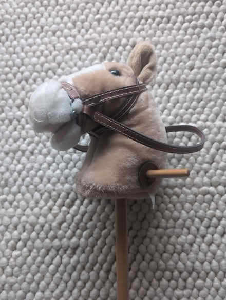 Photo of free Hobby horse (Shenfield, CM15) #2