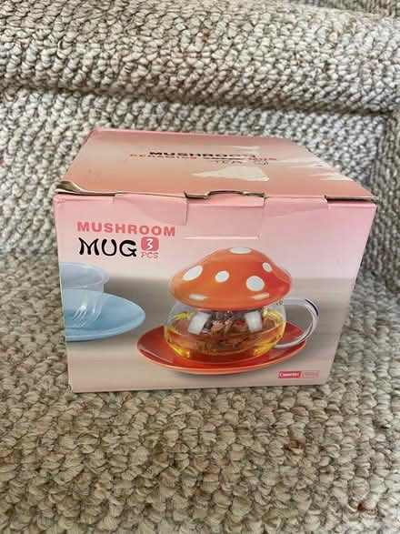 Photo of free Mushroom tea mug (Bronte area) #1