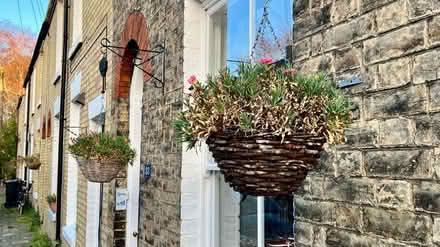 Photo of free Two hanging baskets (CB1 (CB1 (Petersfield) Mill Road) #1