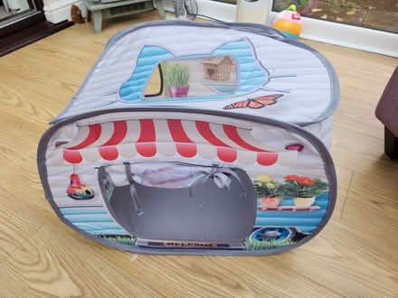 Photo of free Kittens caravan! (Oswestry SY11) #3