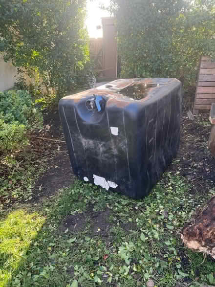 Photo of free IBC water container (BN3) #1