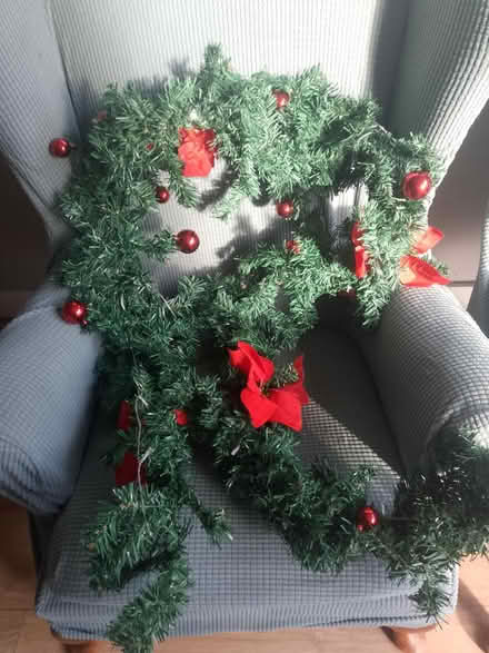Photo of free Christmas garland (Woking) #1