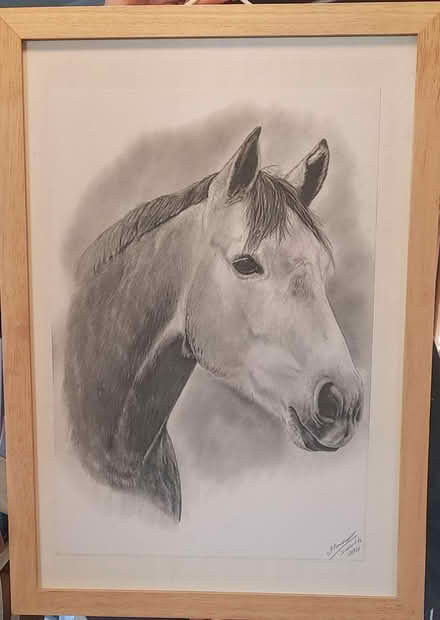 Photo of free Framed picture of horse (Mytchett) #1