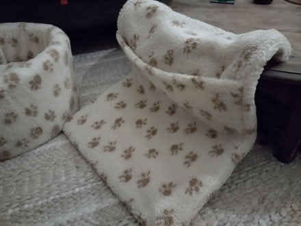 Photo of free Cat bed and radiator hammock (Stroud Green N4) #3