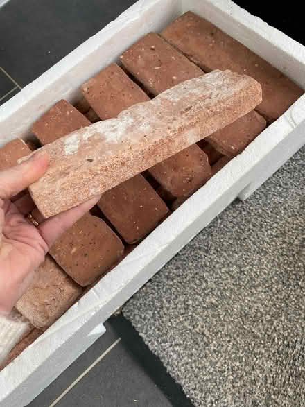 Photo of free Brick slip tiles (Old Colwyn LL29) #1