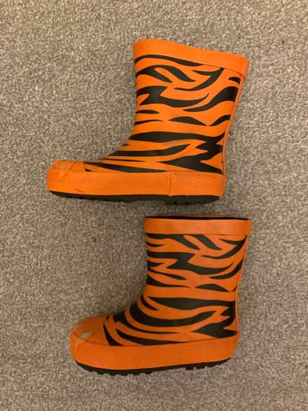 Photo of free Wellies Size 8 (Cholsey Meadows OX10) #1