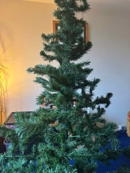 Photo of free Xmas in a bag! (Stroud GL5) #4