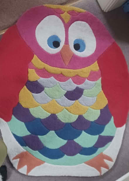 Photo of free Owl rug (Buggs Bottom RG4) #1
