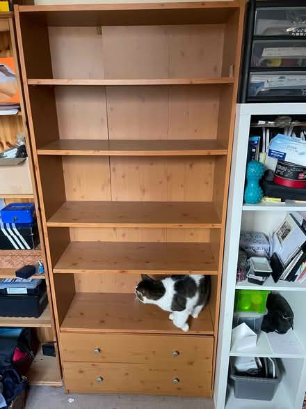 Photo of free Bookshelf (Salford M3) #1