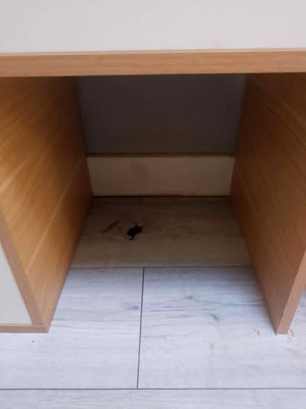 Photo of free Small cat bed (Woking) #1