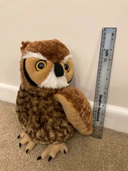 Photo of free Cuddly toy owl (Downend BS16) #1