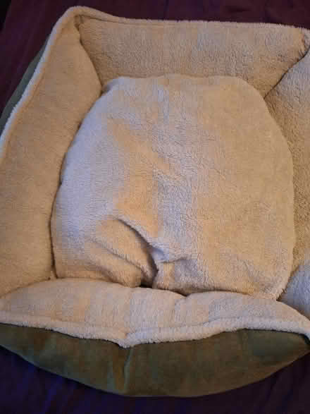 Photo of free Pet bed (Woodley RG5) #1